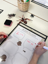 Load image into Gallery viewer, &#39;Hey, Little Ant&#39; Activity Pack
