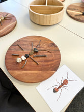 Load image into Gallery viewer, &#39;Hey, Little Ant&#39; Activity Pack
