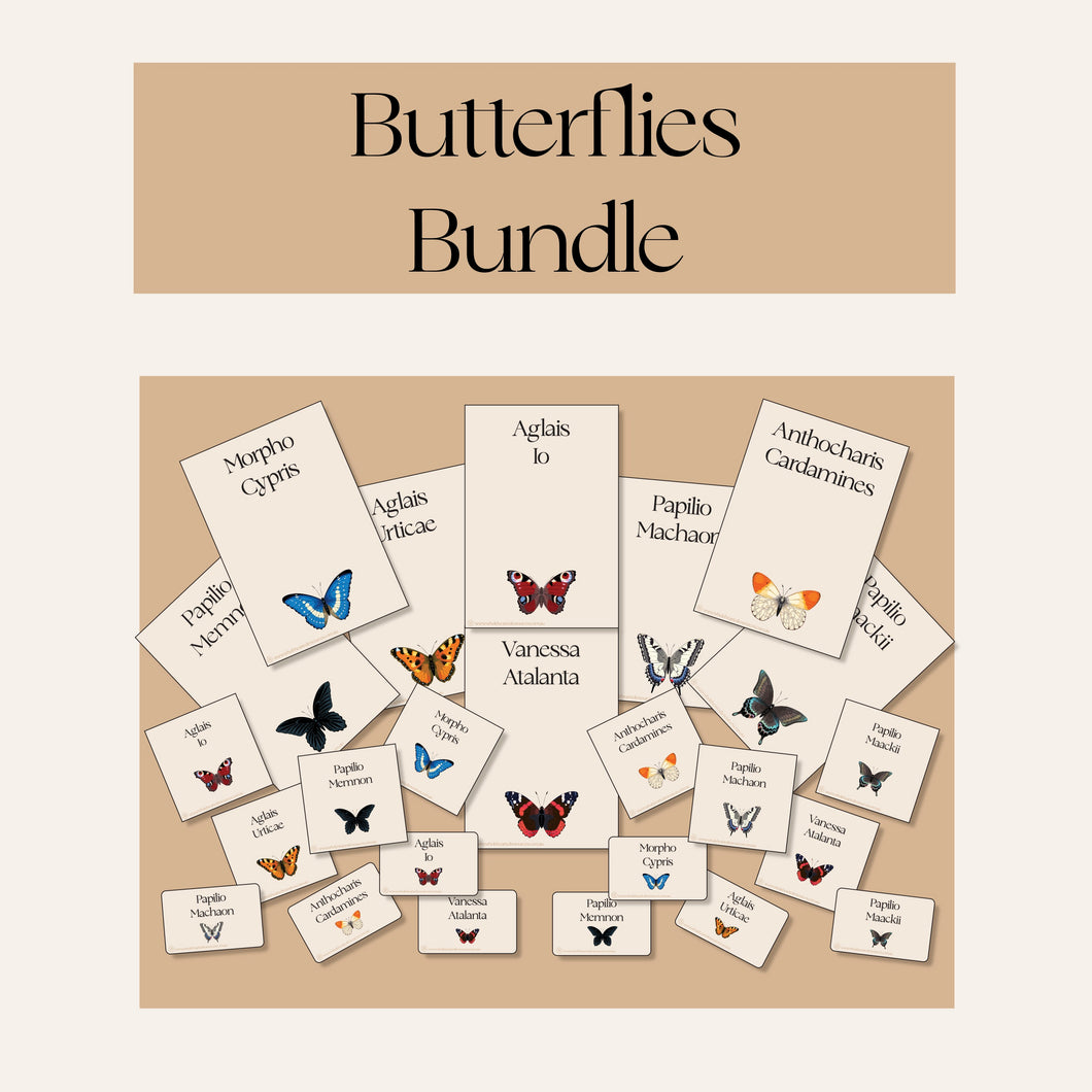 Butterflies Bundle