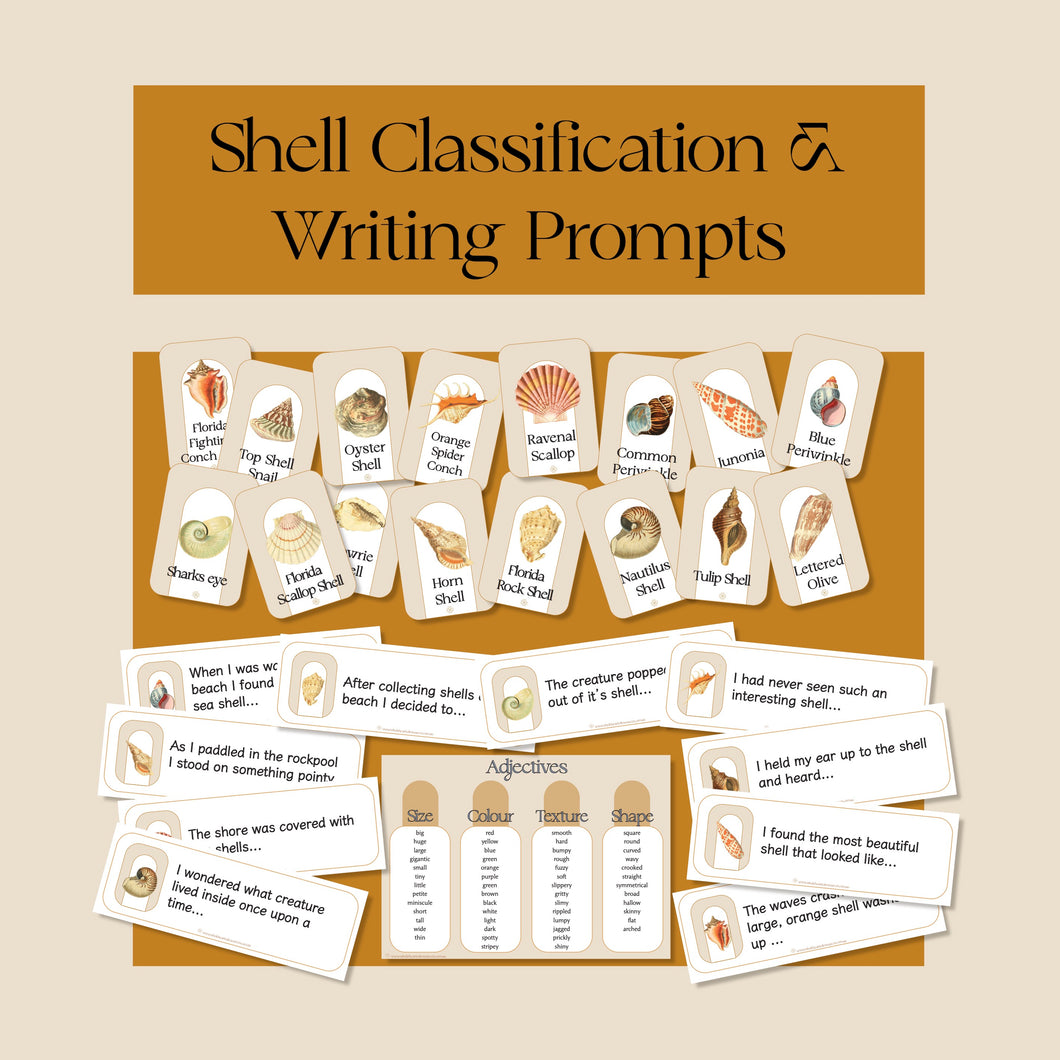 Shell Classification Cards and Writing Prompts